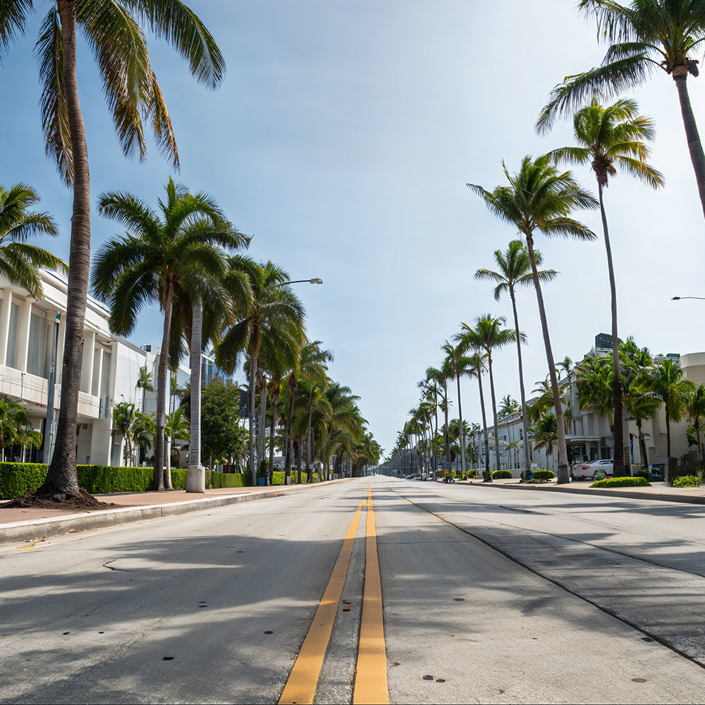 Photo Backgrounds - Streets Of Miami - DAZ Studio - Dreamlight 3D Store