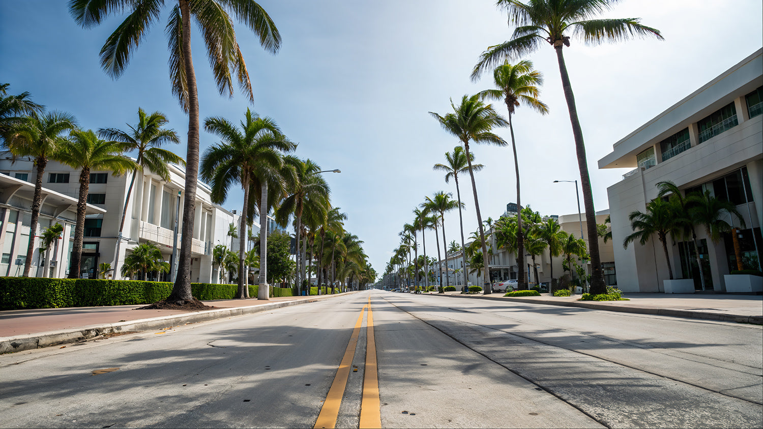 Photo Backgrounds - Streets Of Miami - DAZ Studio - Dreamlight 3D Store