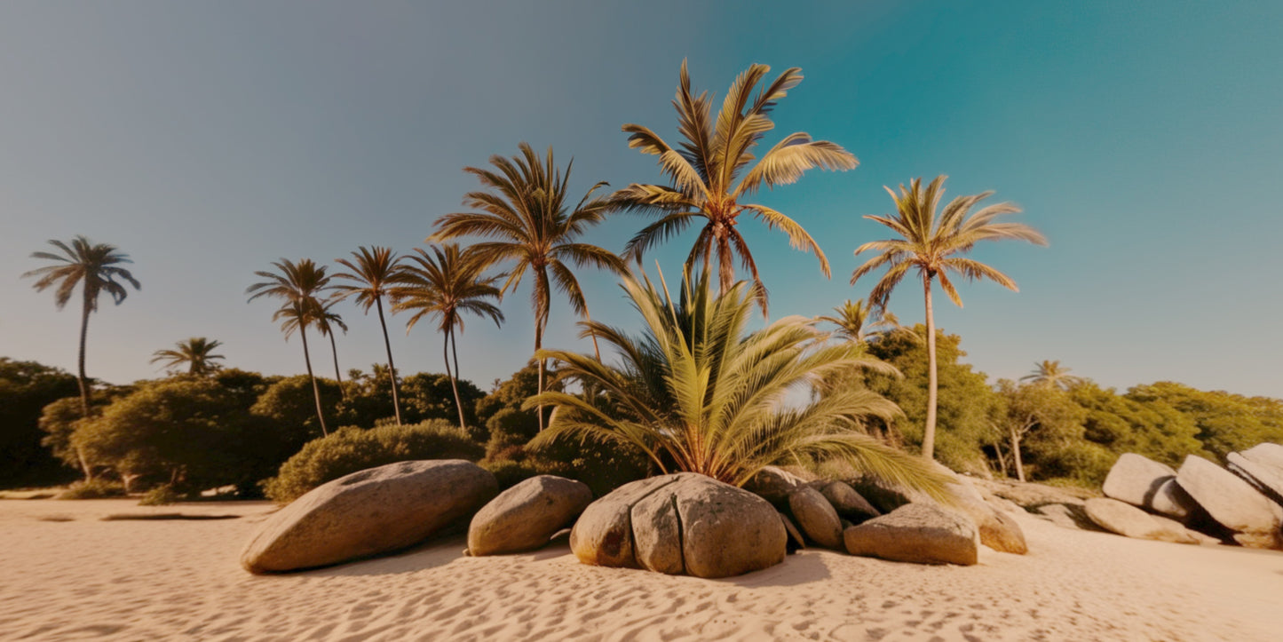 Epic HDRI Sets - Paradise Island - DAZ Studio - Dreamlight 3D Store